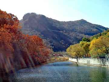 澳门二四六天天彩图库，都市yy小说完本